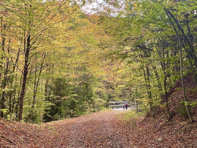 Authentic New England Adventures - by Discover New England 